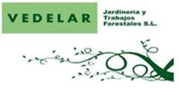 Vedelar, adjudicataria del contrato de mantenimiento de las zonas verdes de los colegios de Avils