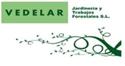 Vedelar, adjudicataria del contrato de mantenimiento de las zonas verdes de los colegios de Avils